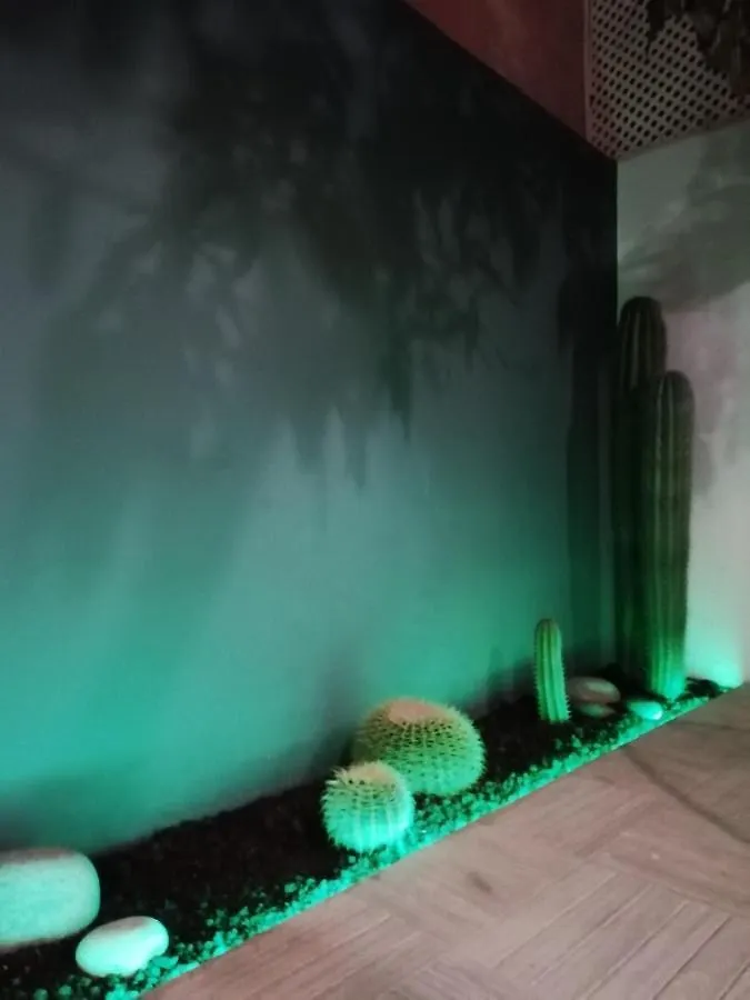 Casa Guadalupe Y Roque Villa Santa Cruz de Tenerife Holiday home